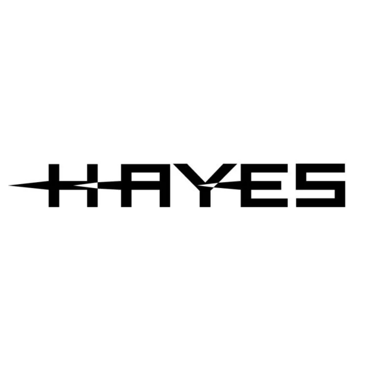 Hayes Disc Pads